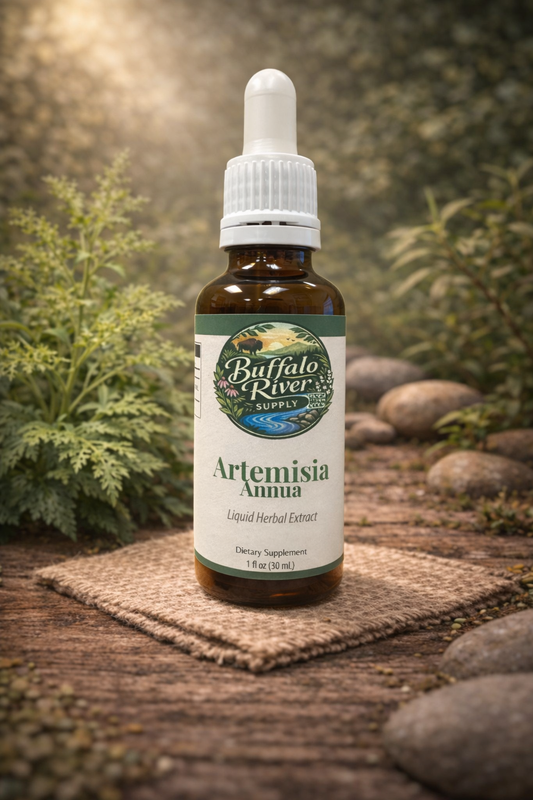 Artemisia Annua Extract