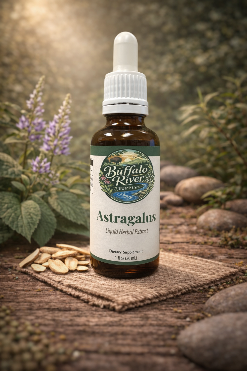 Astragalus Root Extract
