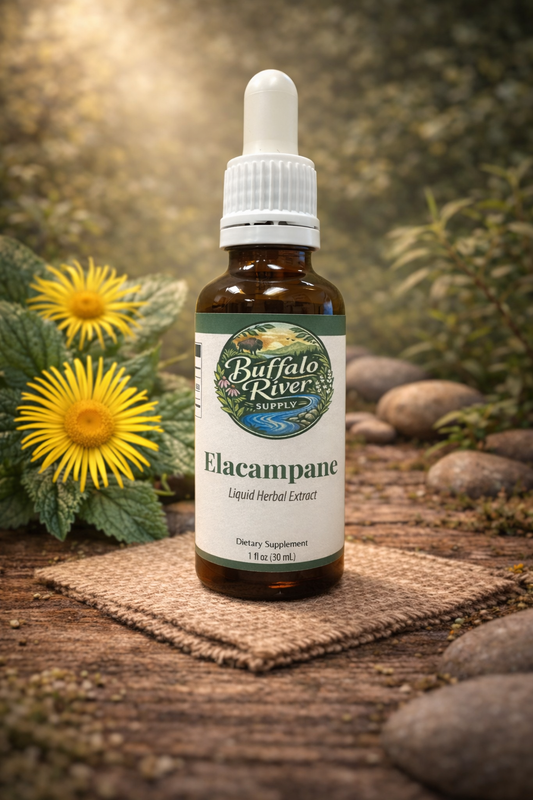 Elecampane Root Extract